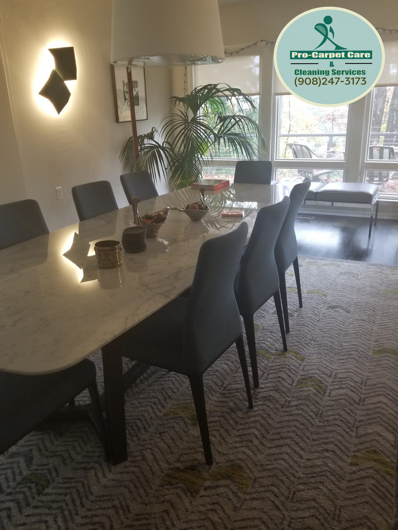 Residential Cleaning Carpet Cleaning Services in New Jersey Pro