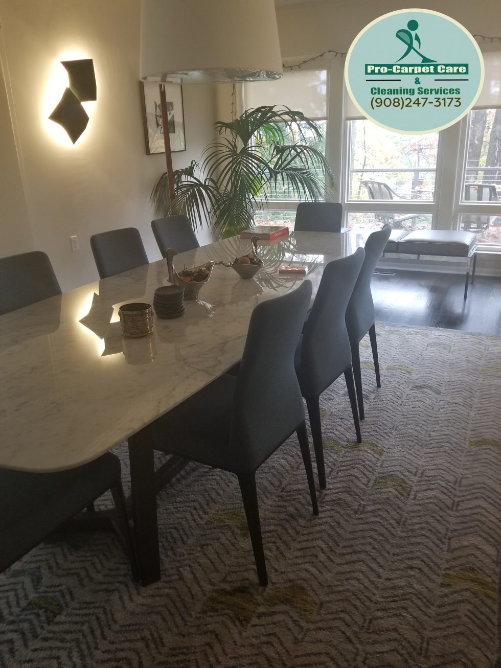 Residential Cleaning Carpet Cleaning Services in New Jersey Pro