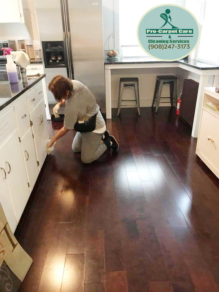 Residential Cleaning Carpet Cleaning Services in New Jersey Pro