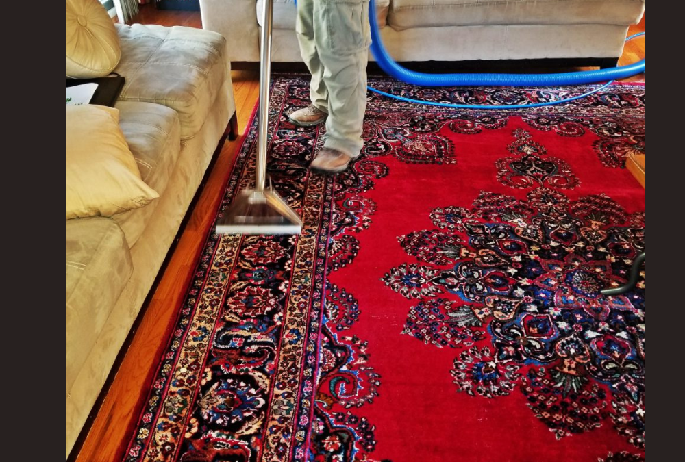 Area Rug Cleaning Summit NJ