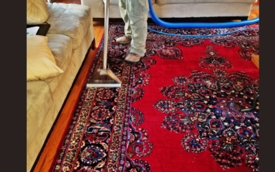 Area Rug Cleaning Summit NJ