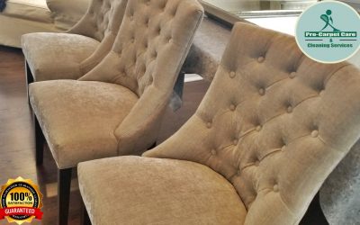 Upholstery Chair Cleaning