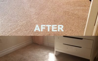 HOW CAN I CLEAN STEAM CARPET? WE TEACH YOU