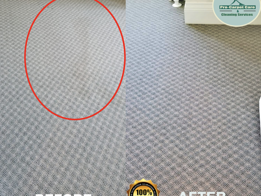 Steam carpet cleaning | Short Hills, NJ