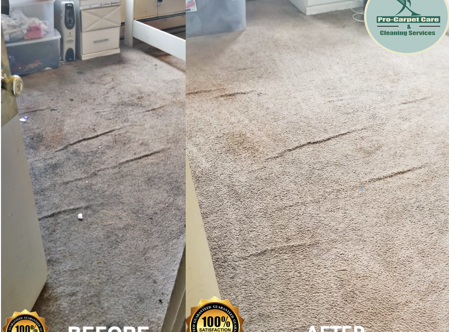 CARPET CLEANING CHALLENGE IN SUMMIT, NEW JERSEY🔥🔥🔥