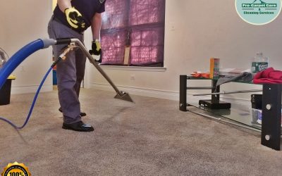 BEFORE AND AFTER STEAM CLEANING IN SUMMIT, NJ