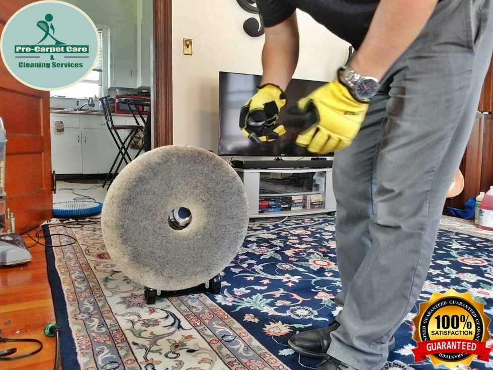 carpet cleaning with pads and upholstery! Carpet Cleaning