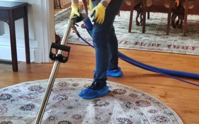 HOW WE CLEAN A DIRTY CARPET | NEW PROVICENDE, NJ