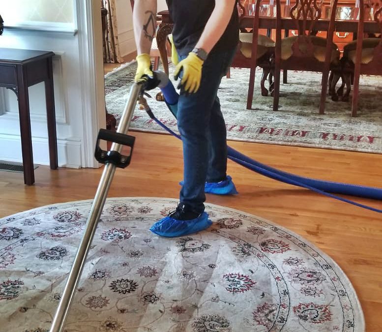 HOW WE CLEAN A DIRTY CARPET | NEW PROVICENDE, NJ