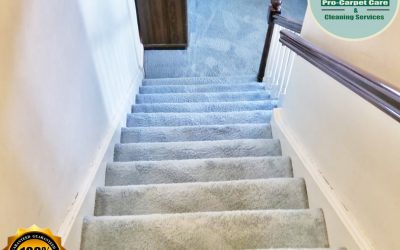 The best steam carpet cleaning | Summit, NJ