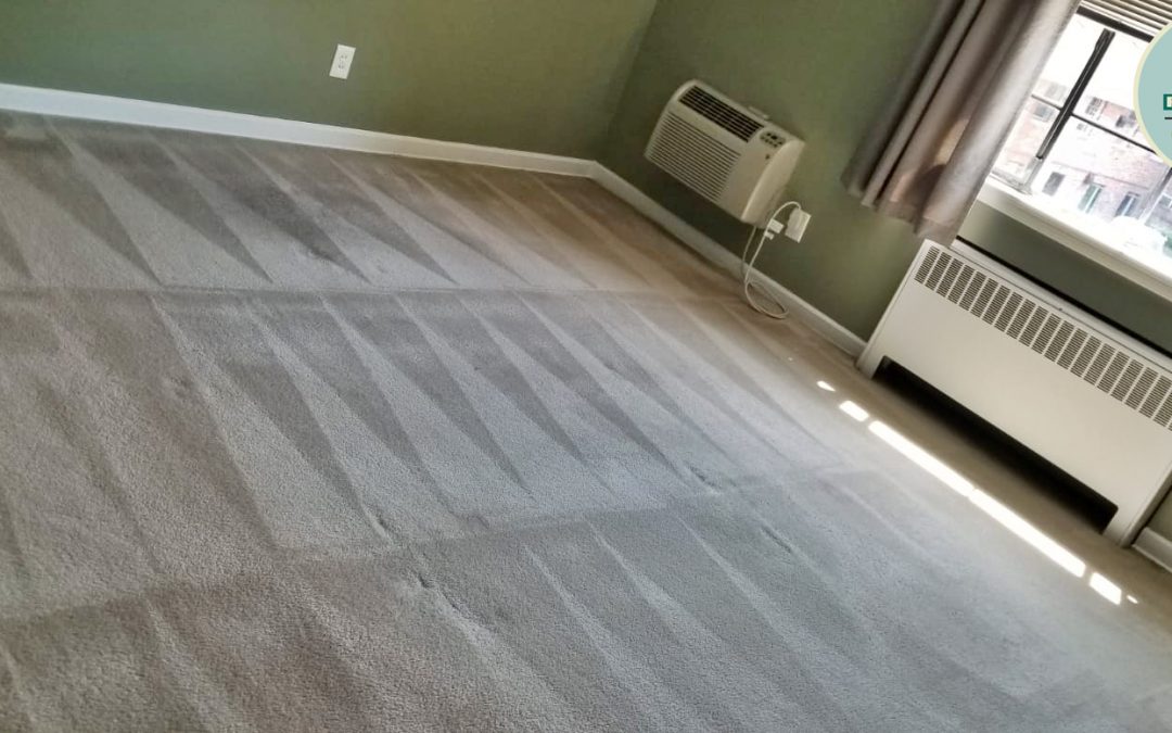 Professional carpet cleaning Westfield NJ