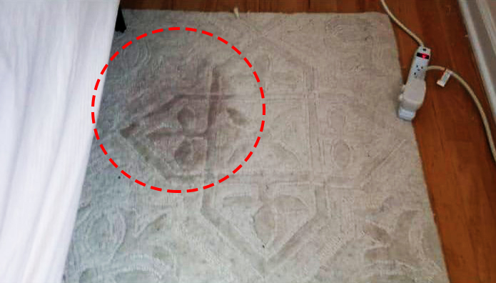 HOW TO REMOVE PET STAIN FROM WOOL CARPET