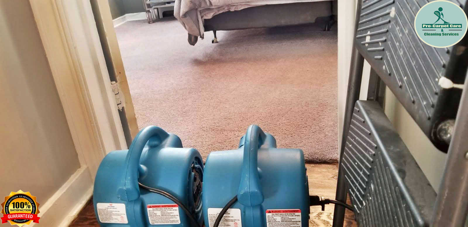 How long for carpets to dry after cleaning? Quick and Effective Ways