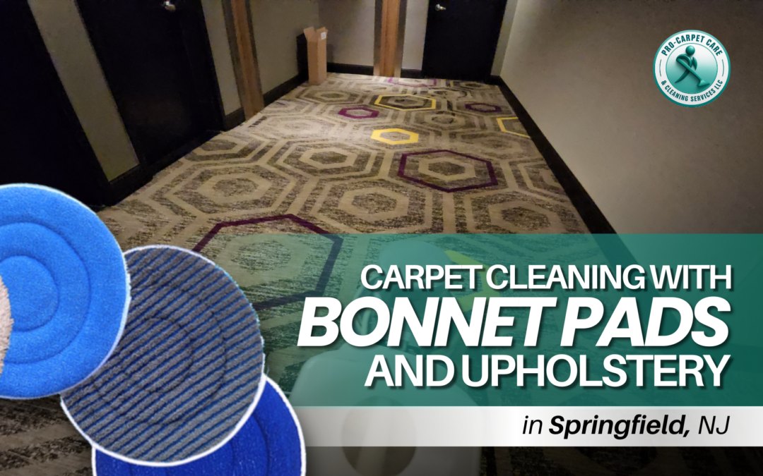 Carpet Cleaning with Bonnet Pads and Upholstery