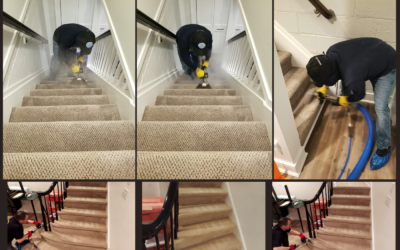 How to clean stairs carpet cleaning (the right way) 👏