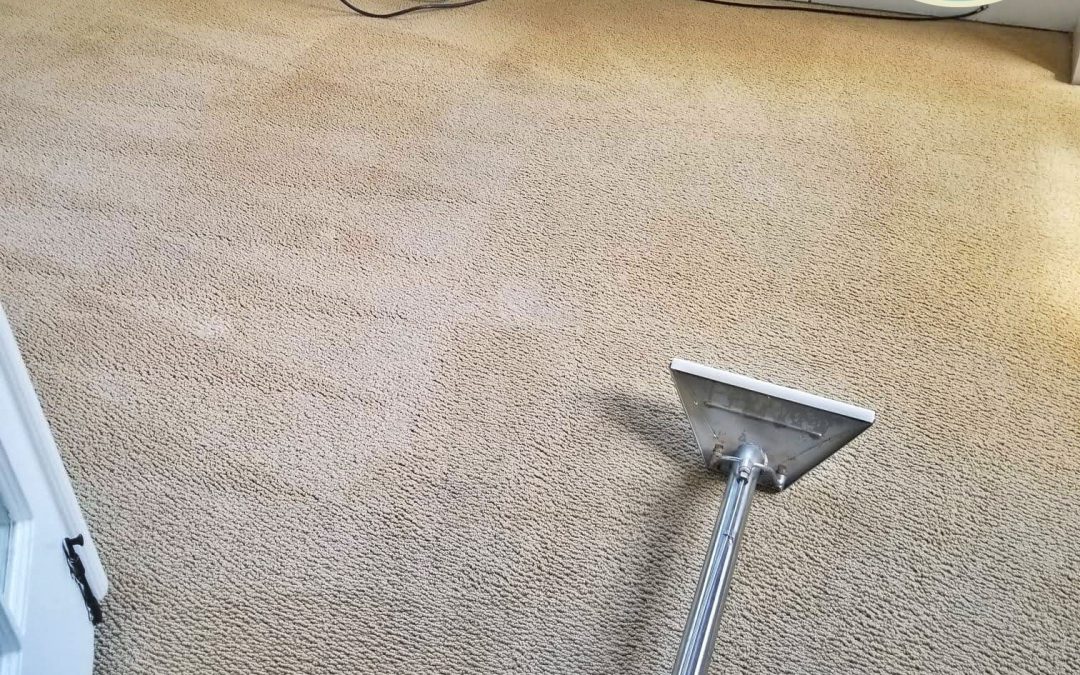 The best Method to clean carpets