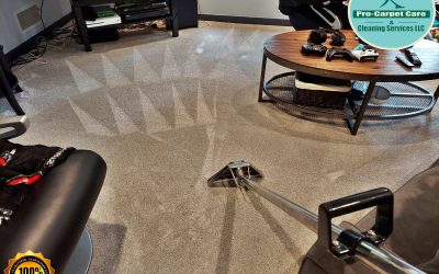 Steam Carpet Cleaning in Summit NJ