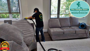 Sectional Sofa Cleaning Services