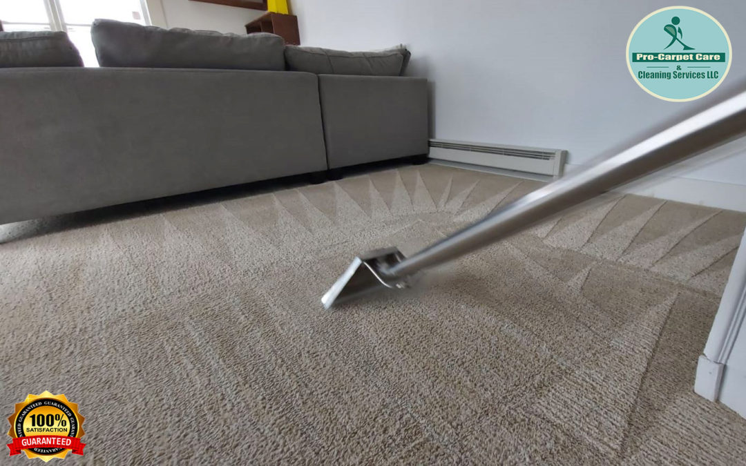 HOW TO CLEAN A CARPET IN 6 STEPS