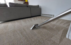pro cleaning services steam carpet in new jersey
