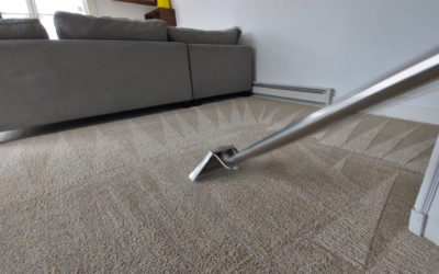 Best Homemade Carpet Cleaners