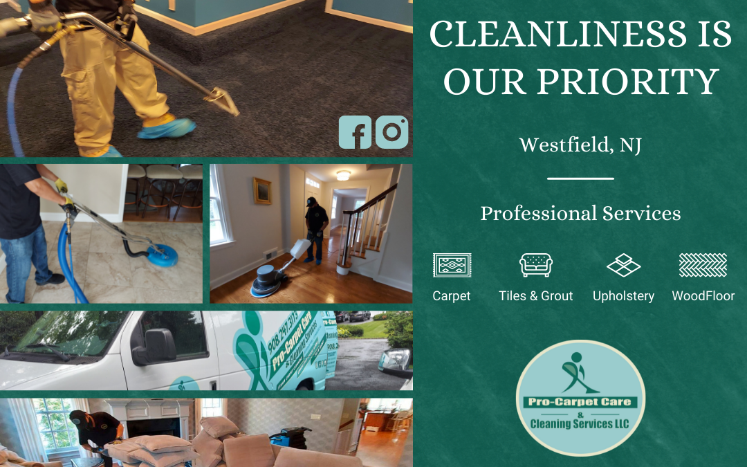 Carpet stain removal tips