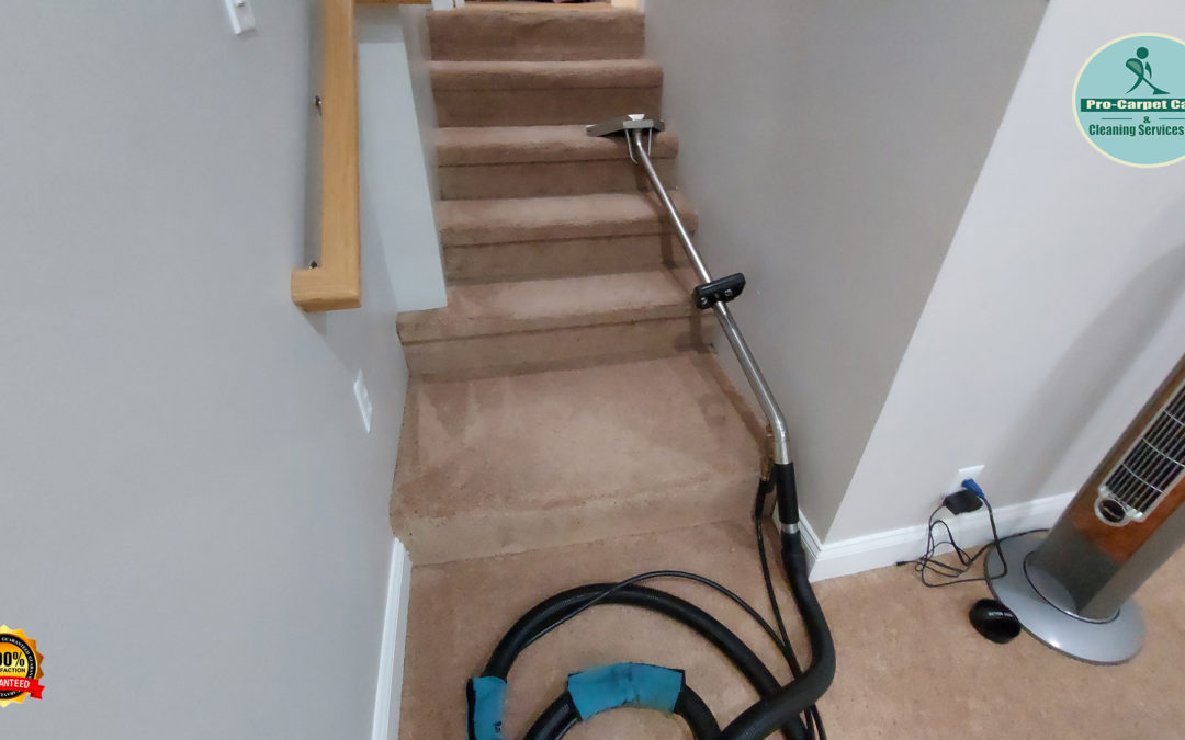 How To Clean Carpets on Stairs – Scotch Plains NJ