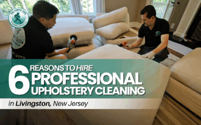 6 Reasons to Hire Professional Upholstery Cleaning in Livingston NJ