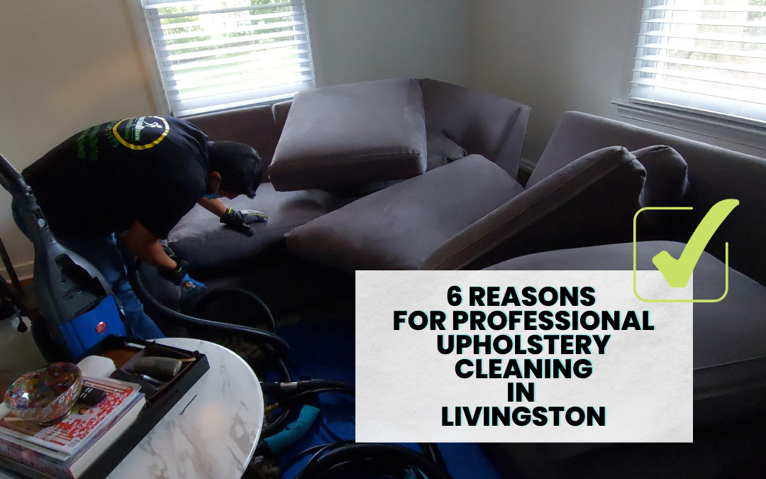 6 Reasons for Professional Upholstery Cleaning in Livingston