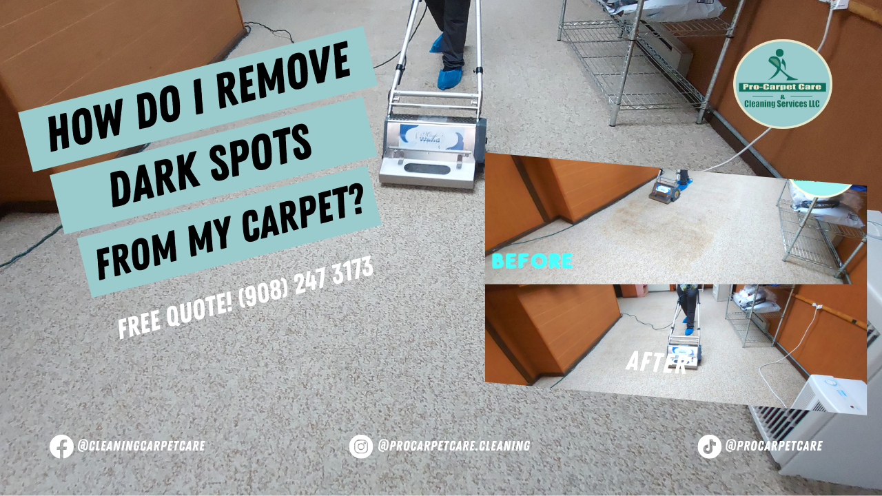 Professional Carpet Cleaning Service New Jersey