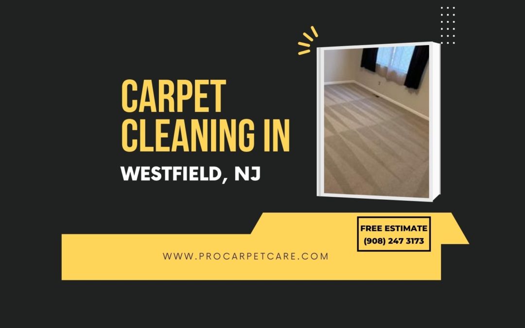 Carpet cleaning in Westfield, NJ