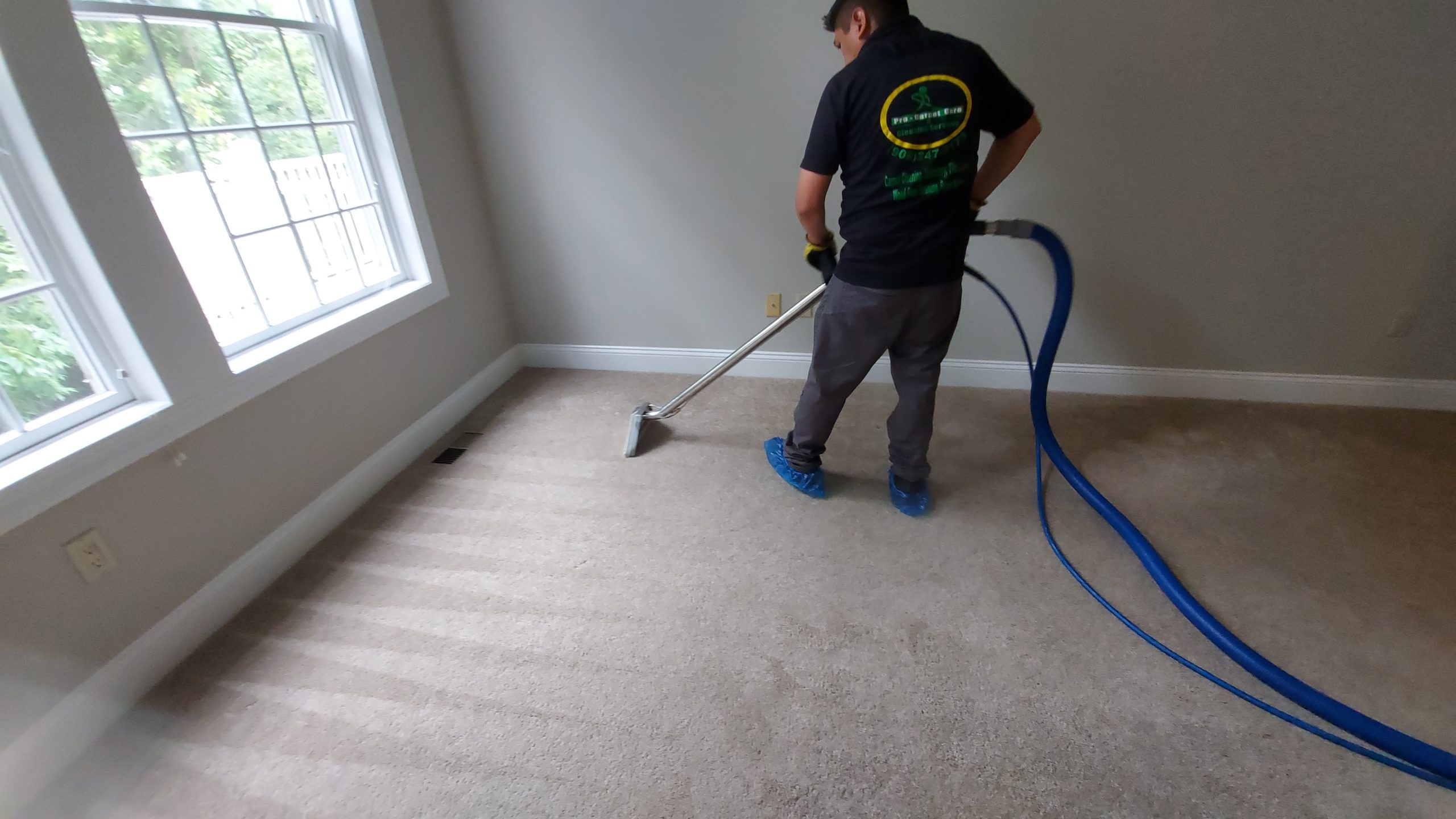 professional carpet cleaning