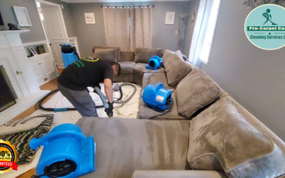 Professional Couch cleaning