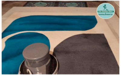 Area Rug Cleaning