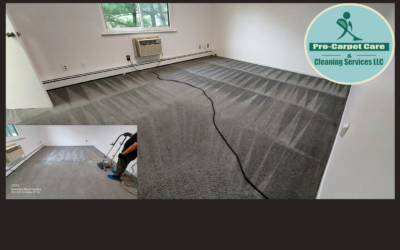 Quality Carpet Cleaning: Elevating Standards in New Jersey