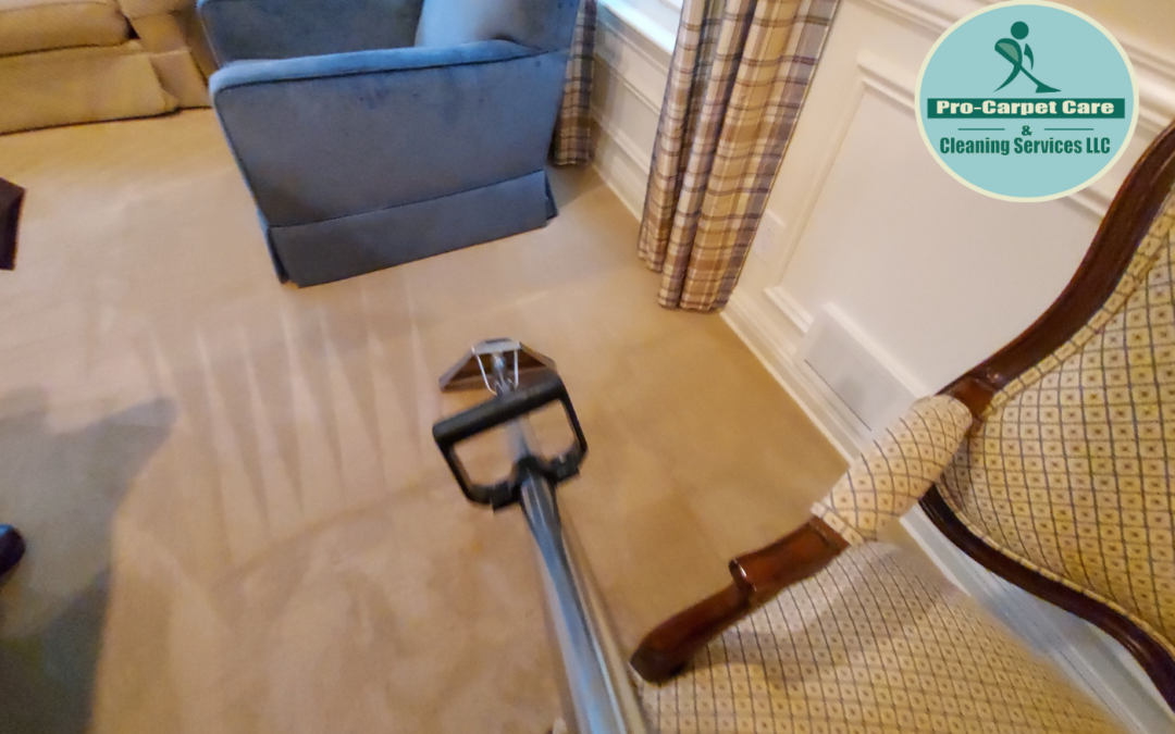 Basement Carpet Cleaning Best Results