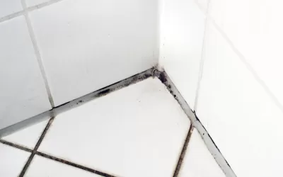 Removing Mold in Bathrooms