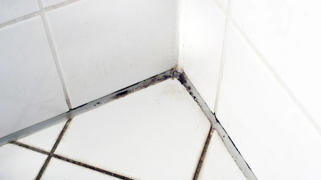 Removing Mold in Bathrooms