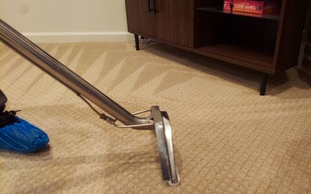 Drying Your Carpet After Water Damage