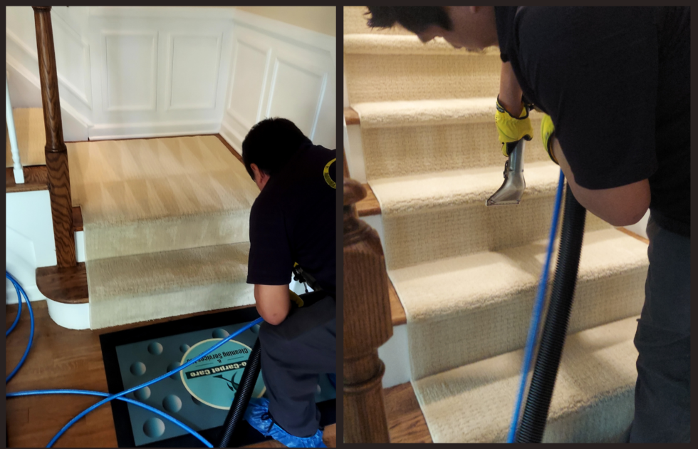 The best way to clean stairs carpeted Top Rated Company