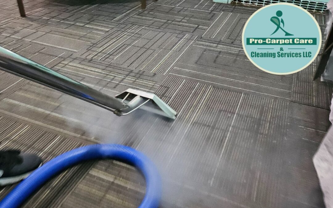 STEAM CARPET CLEANING – WESTFIELD NJ