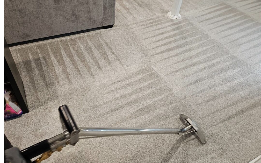 Professional Carpet Cleaning | Westfield NJ