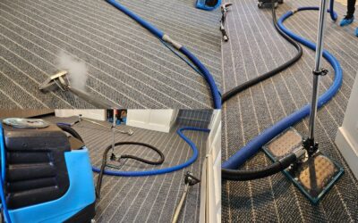 Basement water damage & Flood on Carpets