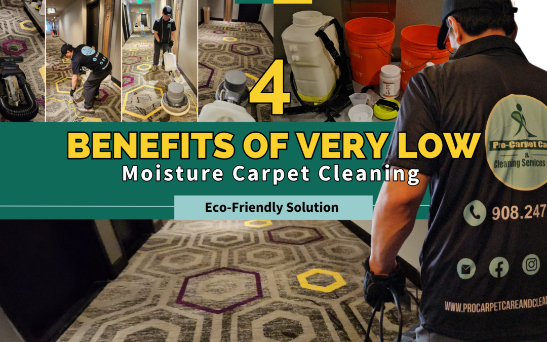 VLM Carpet Cleaning in Berkeley Heights NJ