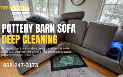 Pottery Barn Sofa Cleaning in 5 steps