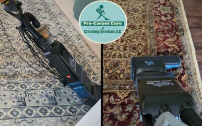 Professional Vacuum for Carpets and floors