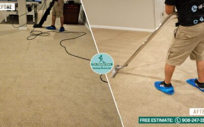 How often should I clean my carpet?