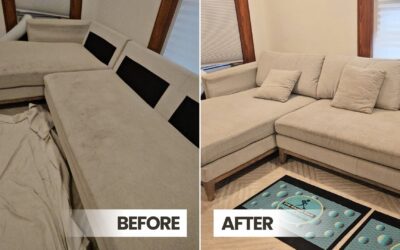 How Much Does Sofa Cleaning Cost on Average?