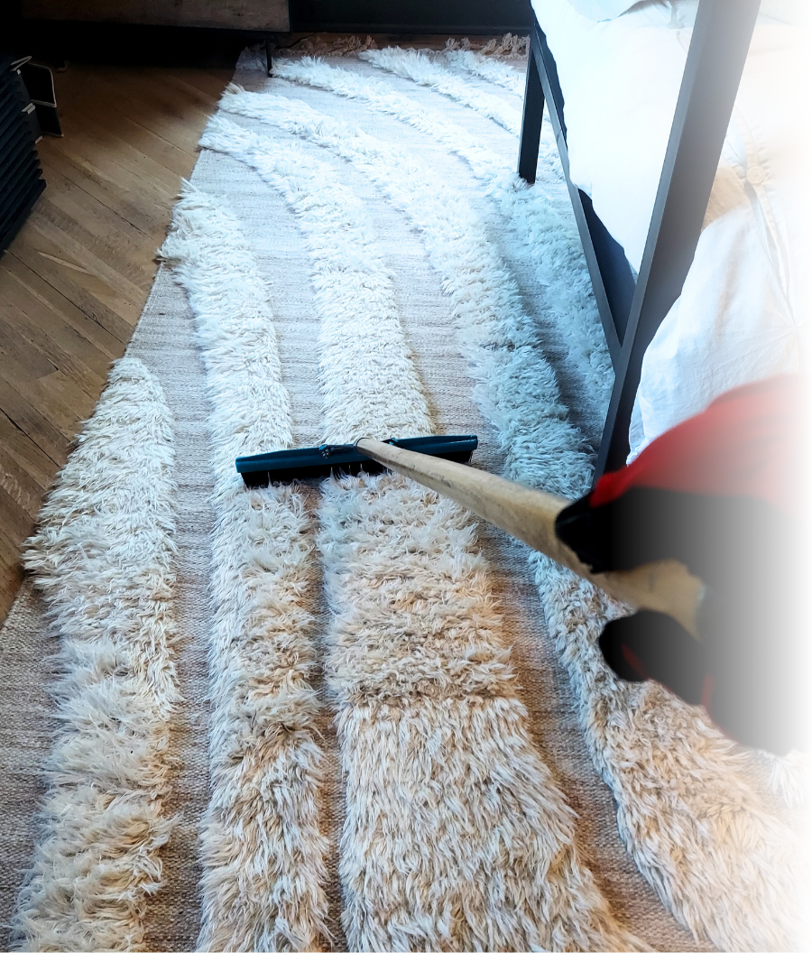 how-to-clean-wool-area-rug-morristown