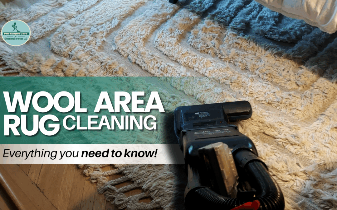 Wool Area Rug Cleaning Westfield – Expert Services